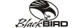 Black Bird
