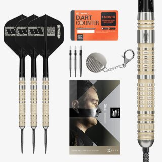 3er Set Steeldarts Target Dimitri van den Bergh 95K