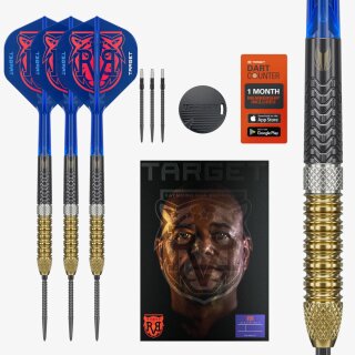 3er Set Steeldarts Target Raymond van Barneveld G 6 SP
