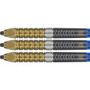3er Set Steeldarts Target Raymond van Barneveld G 6 SP