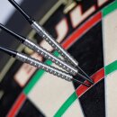3er Set Steeldarts Bulls Chaos Green