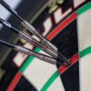 3er Set Steeldarts Bulls Bronzo True
