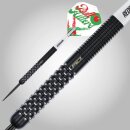 3er Set Steeldarts Red Dragon Bull Hitters