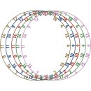 Bulls Number Ring Set Color