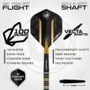 3er Set Steeldarts Winmau Team 360 Nicholai Bado