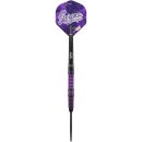 3er Set Steeldarts Bulls Lerena Rietbergen 90%