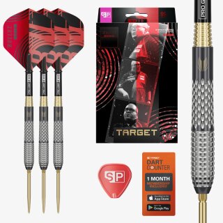 3er Set Steeldarts Target Steven Bunting Bullet Void Gen 5