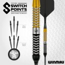3er Set Steeldarts Winmau Exion Parallel Switch Point