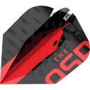Dart Flights Target Nathan Aspinall G2 No.2