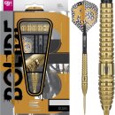 3er Set Steeldarts Target Bolide Envy 03