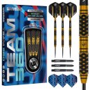 3er Set Steeldarts Winmau Team 360 Bradley van der Velden