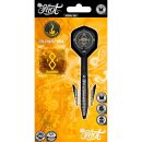 3er Set Steeldarts Shot Alchemy Runstel