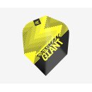 Dart Flights Target Gabriel Clemens Brass Pro.Ultra No.6...