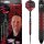 3er Set Steeldarts Bulls Chris Landman E2
