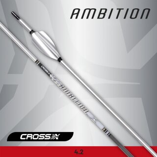 Carbonpfeil XS-Wings Ambition Silver 6er Pack