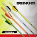 Carbonpfeil Cross-X Iridium Natur-Feder Neon-Farben 6er...