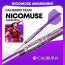 3er Set Steeldarts Caliburn Awakening Nicomuse 24 g