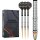 3er Set Steeldarts Precise 180 Ricardo Pietreczko G1