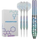 3er Set Steeldarts Precise 180 Endorphine 25 g