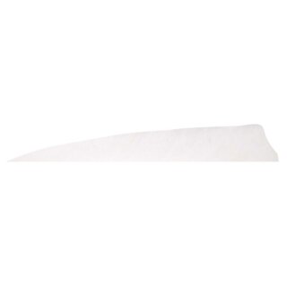 Gateway Feathers Naturfedern RW - 4" Shield Flo. White