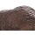 Booster 3D Tier Stachelschwein