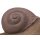 Booster 3D Tier Schnecke