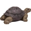 Booster 3D Tier Schildkröte