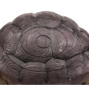 Booster 3D Tier Schildkröte