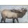 Scheibenauflage Hirsch 93,5 cm x 61 cm