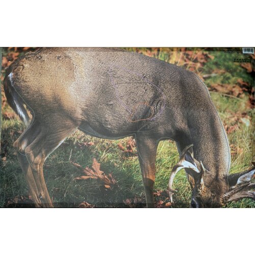 Scheibenauflage Grasender Hirsch 93,5 cm x 61 cm
