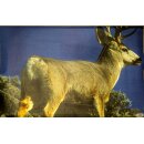 Scheibenauflage Maultierhirsch 93,5 cm x 61 cm