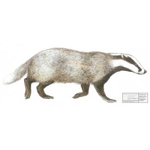 Scheibenauflage Dachs 90 cm x 36,5 cm