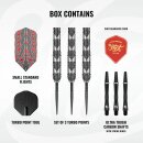 Shot Warrior Awe TP Steeldarts 3er Set