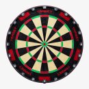 Steeldartboard Target Tor Evo