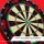 Steeldartboard Target Tor Evo