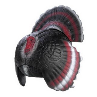 3D Tier Franzbogen Balzender Truthahn