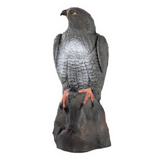 3D Tier Franzbogen Falke
