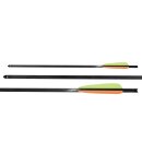 Armbrustbolzen Carbon 20" für Recurve und...