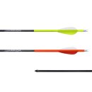 Gold Tip Warrior Carbonpfeil mit Vanes und Cresting...