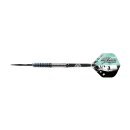 3er Set Steeldarts Bulls Max Hopp 80%