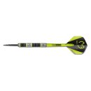 3er Set Steeldarts Winmau MvG Aspire