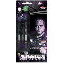 3er Set Steeldarts Bulls Dirk van Duijvenbode Aubergenius...