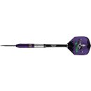 3er Set Steeldarts Bulls Dirk van Duijvenbode Aubergenius 24 g