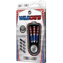 3er Set Steeldarts Winmau Wildcats