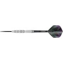 3er Set Steeldarts Winmau Simon Whitlock silver 24 g