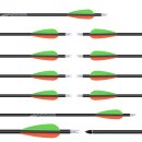 Gold Tip Warrior Carbonpfeil mit Vanes 340 Volle Länge