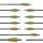 Gold Tip Warrior Carbonpfeil mit Vanes 340 Volle Länge