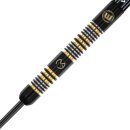 3er Set Steeldarts Winmau MvG Trilogy