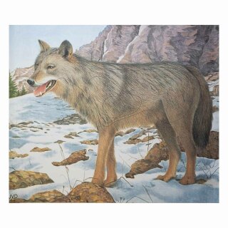 Scheibenauflage Wolf  80,5 cm x 96,5 cm