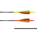 Gold Tip Warrior Carbonpfeil Traditional mit Cresting...